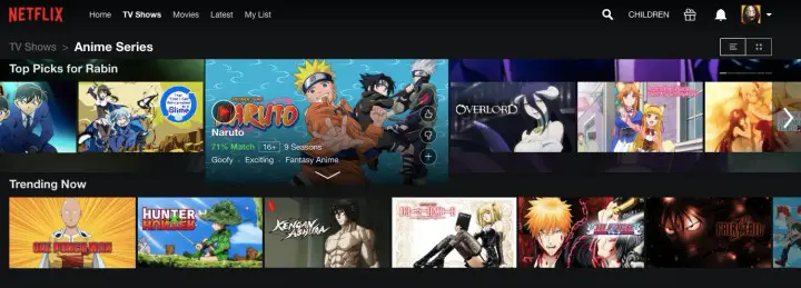 Use Netflix to watch anime online